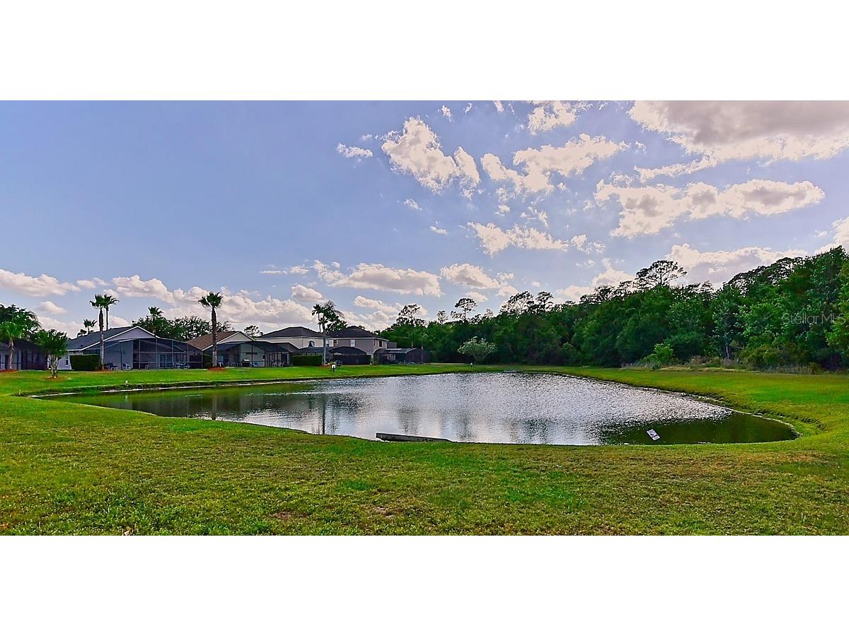 1043 Park Ridge Circle Kissimmee FL 34746 S5149829 image42