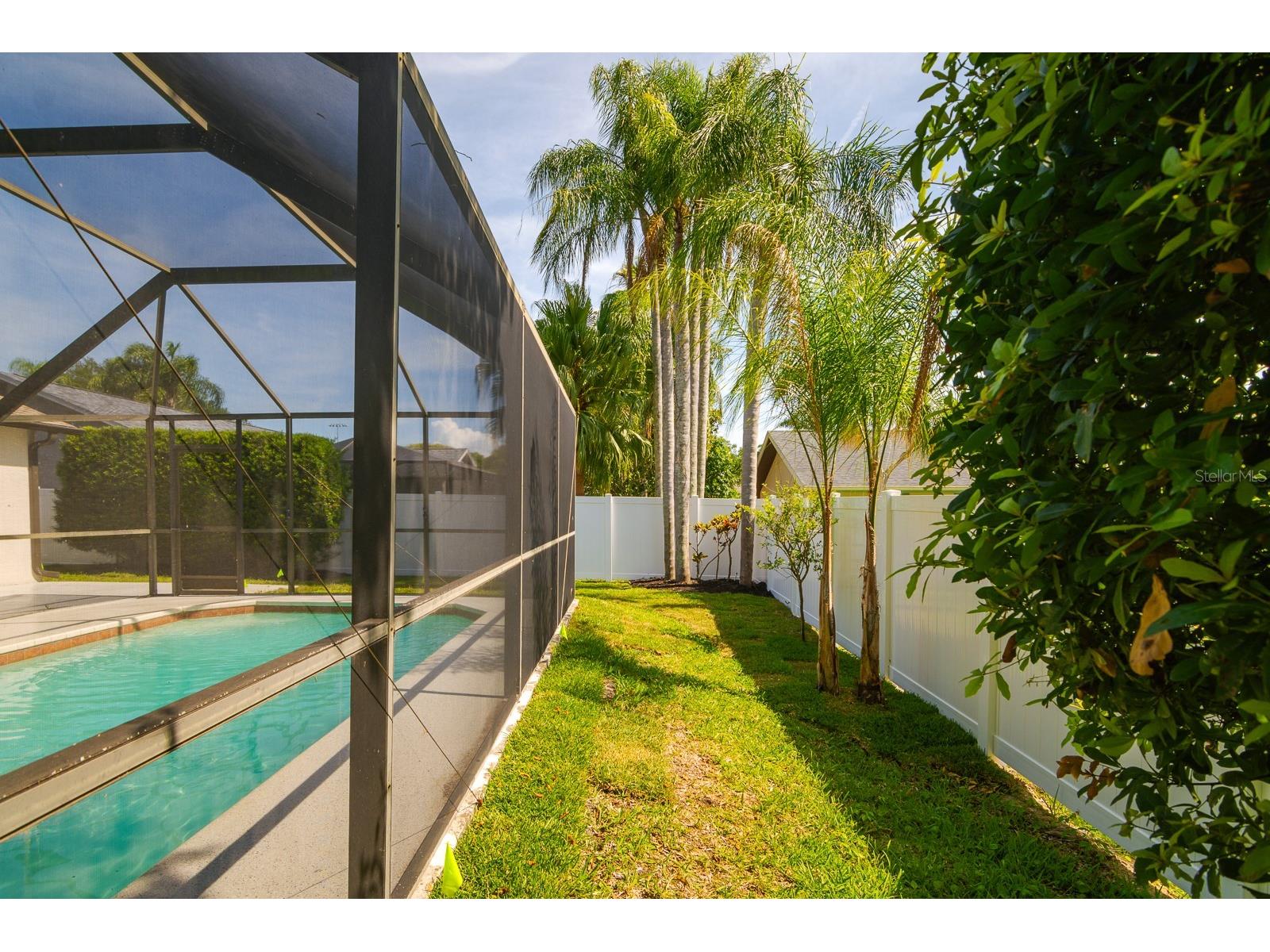 1043 Ridge View Lane Palm Harbor FL 34683 TB8511641 image52