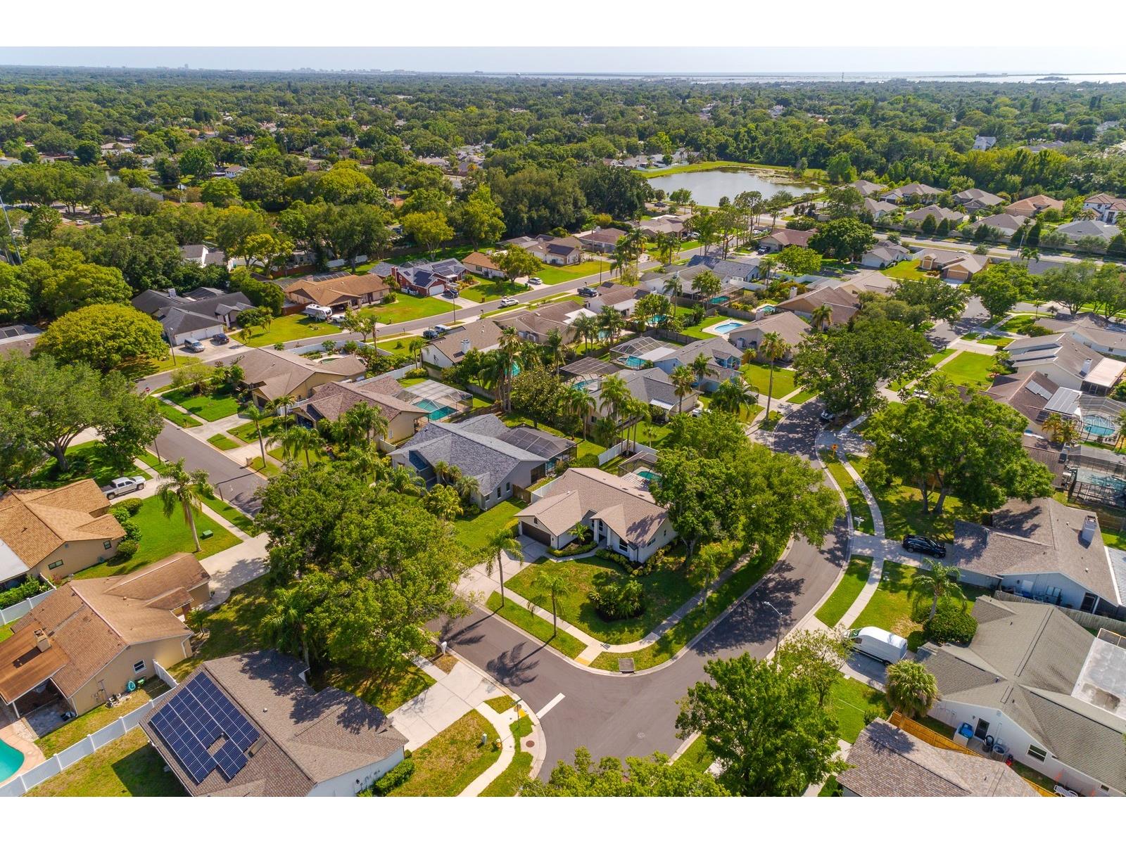 1043 Ridge View Lane Palm Harbor FL 34683 TB8511641 image58