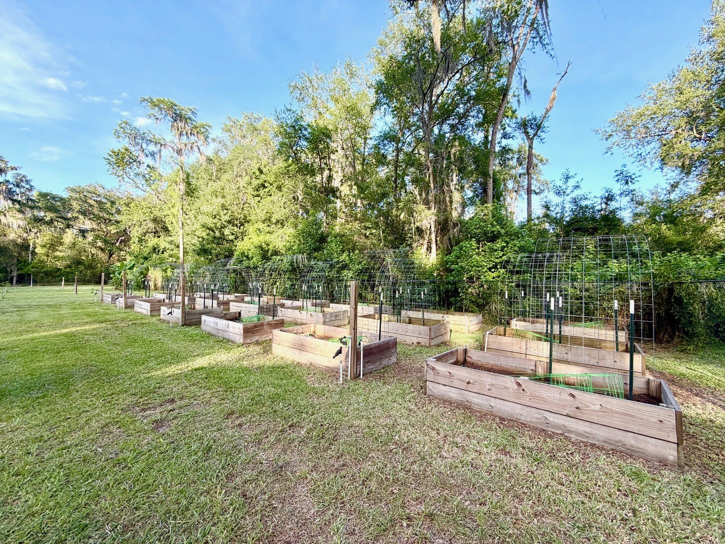 1043 SE County Road 21b Melrose FL 32666 GC541054 image26