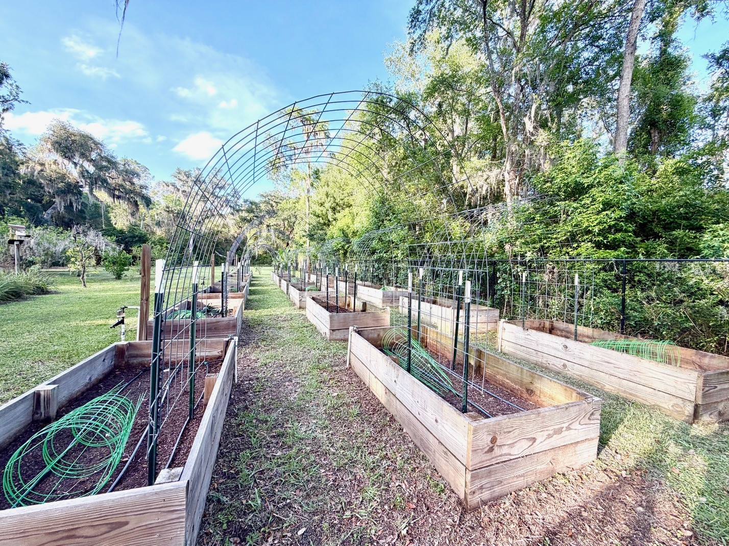 1043 SE County Road 21b Melrose FL 32666 GC541054 image35
