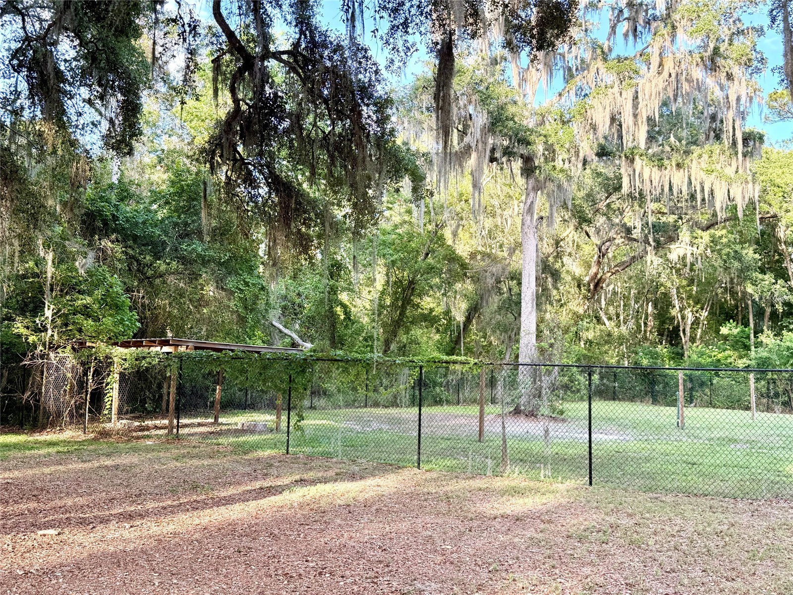1043 SE County Road 21b Melrose FL 32666 GC541054 image36