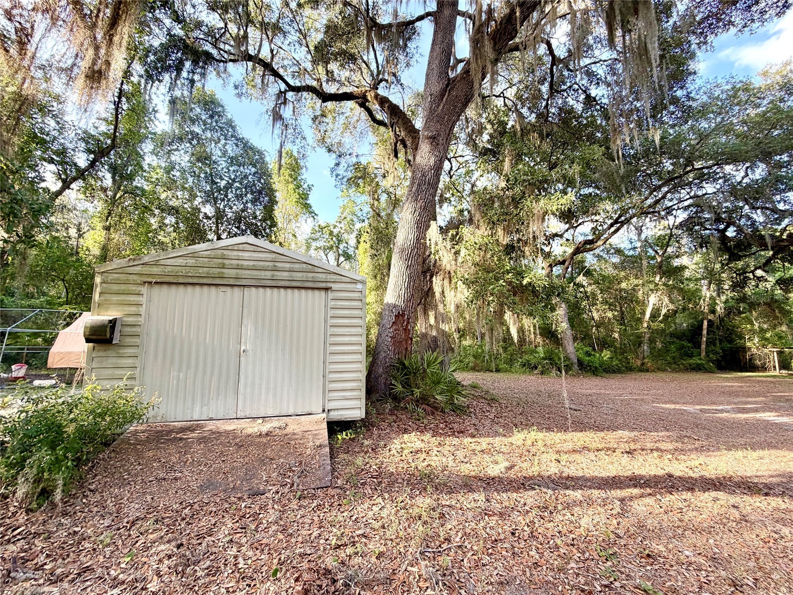 1043 SE County Road 21b Melrose FL 32666 GC541054 image39