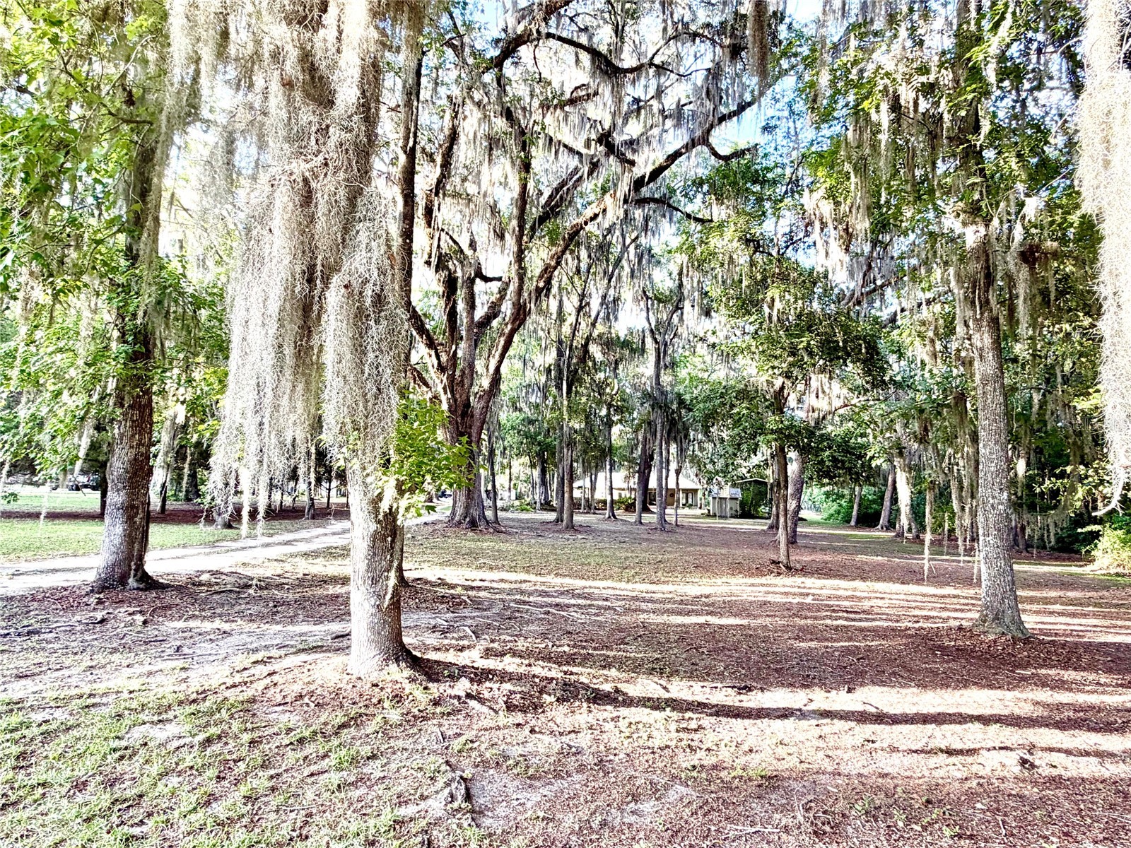 1043 SE County Road 21b Melrose FL 32666 GC541054 image44