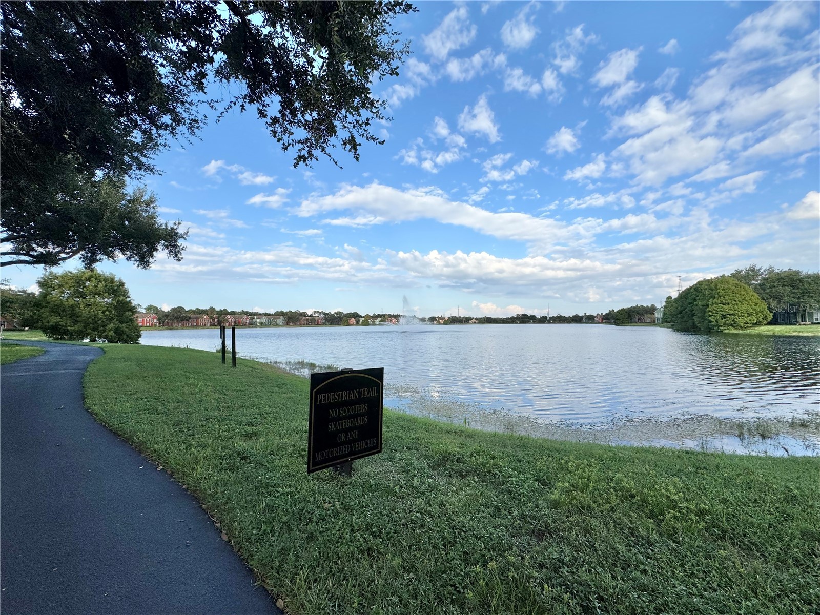 10430 White Lake Court Tampa FL 33626 TB8424063 image18