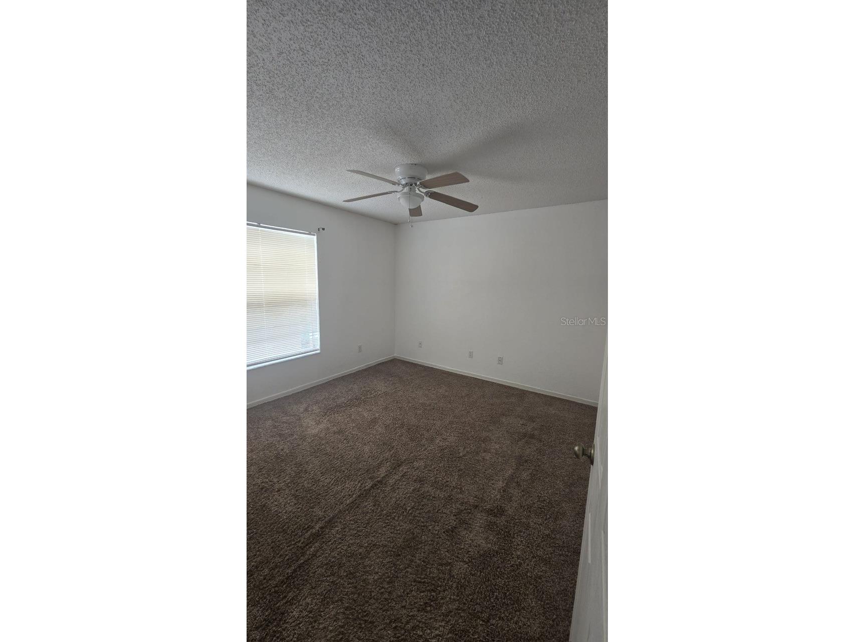 10431 36th Street N Clearwater FL 33762 TB8519605 image23