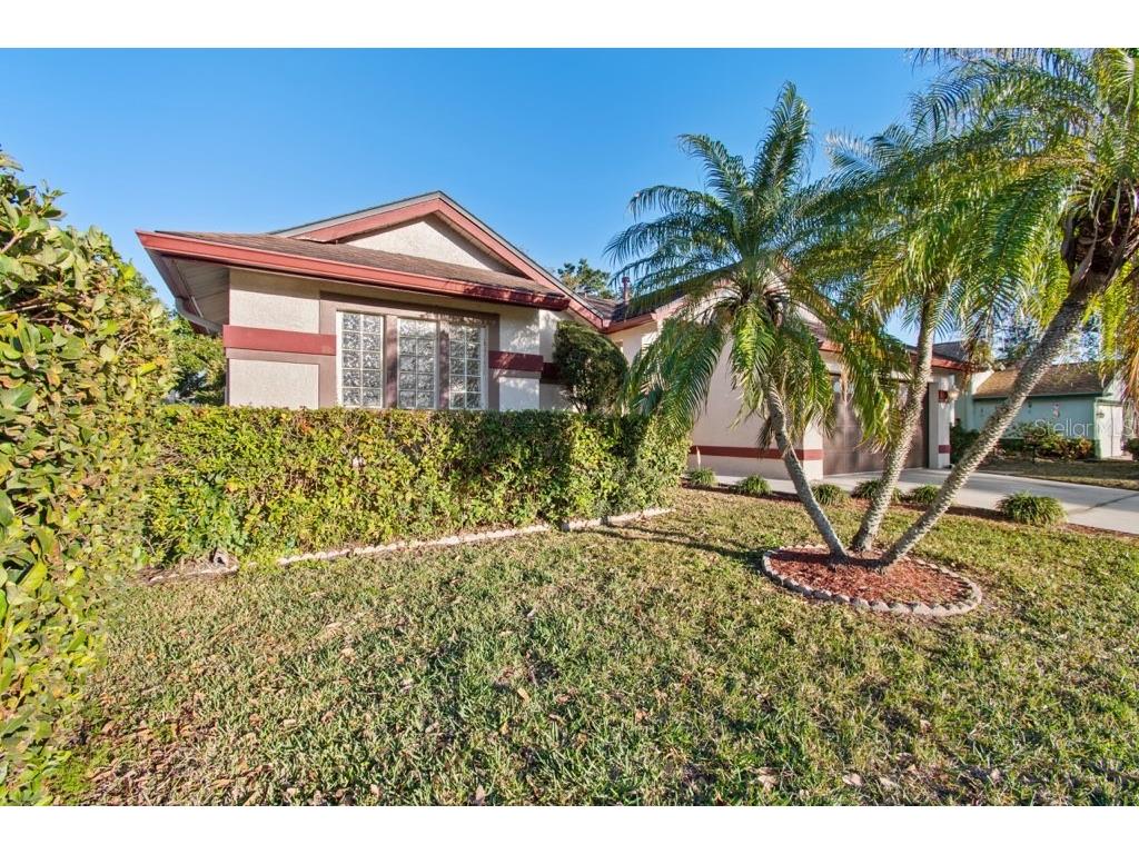 10431 36th Street N Clearwater FL 33762 TB8519605 image40