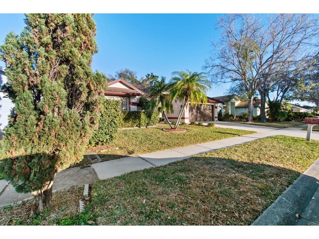 10431 36th Street N Clearwater FL 33762 TB8519605 image44