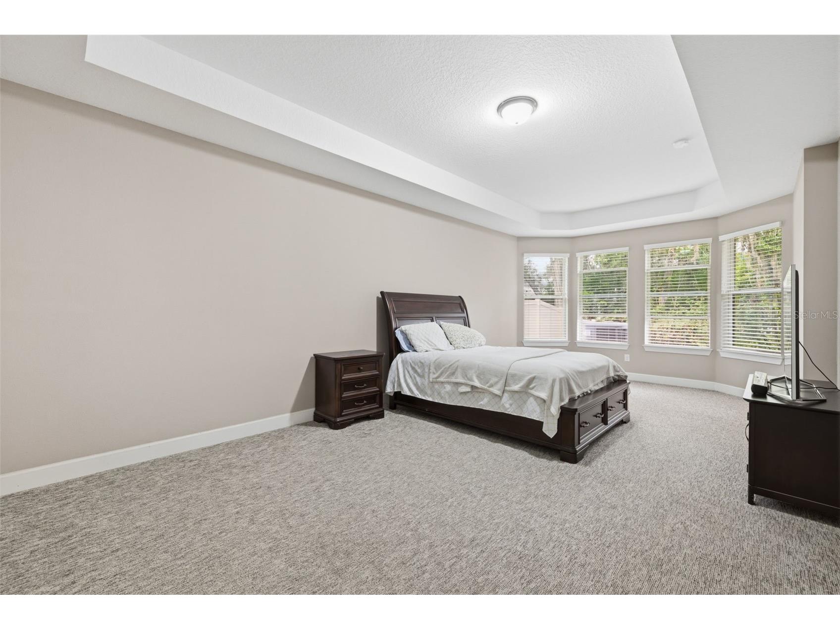 10431 Alcon Blue Drive Riverview FL 33578 O6397883 image12