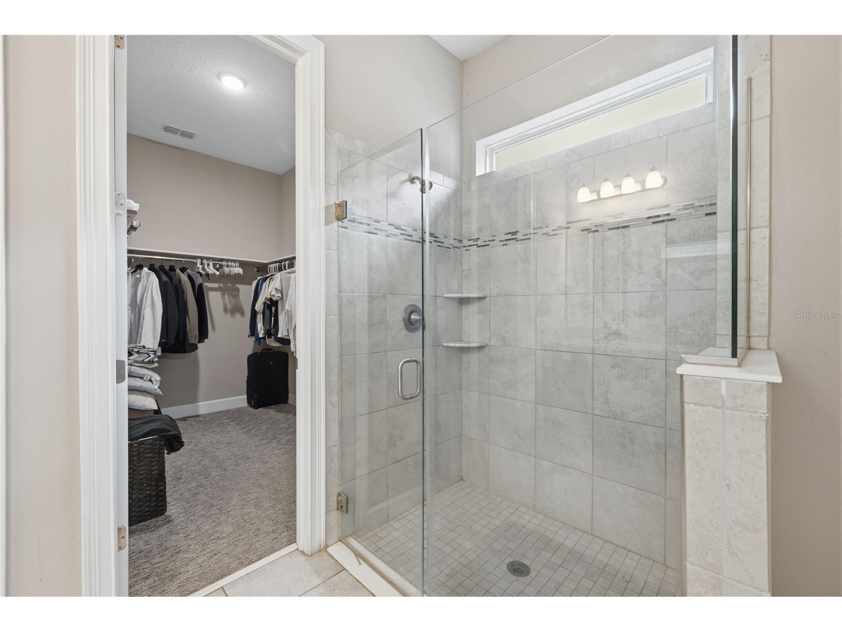 10431 Alcon Blue Drive Riverview FL 33578 O6397883 image15