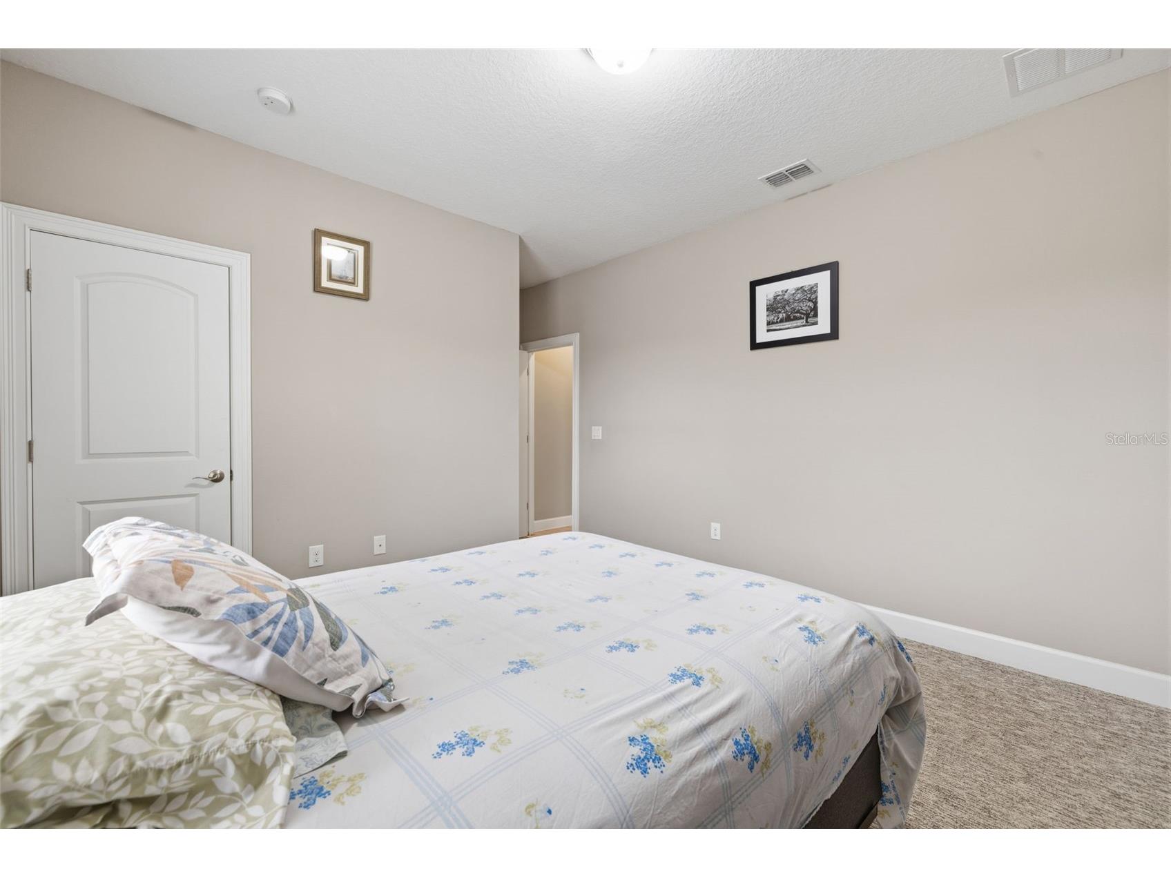 10431 Alcon Blue Drive Riverview FL 33578 O6397883 image21