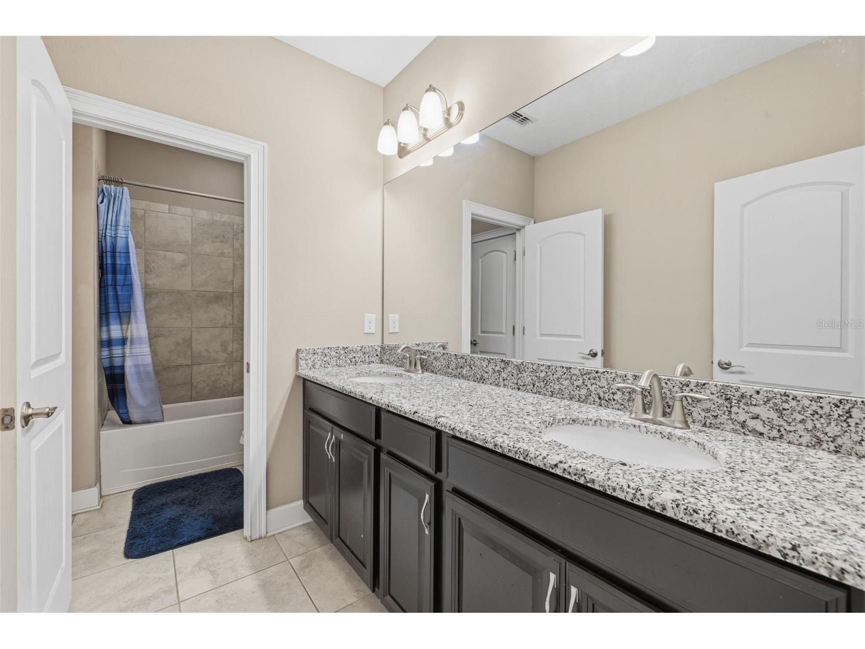 10431 Alcon Blue Drive Riverview FL 33578 O6397883 image22