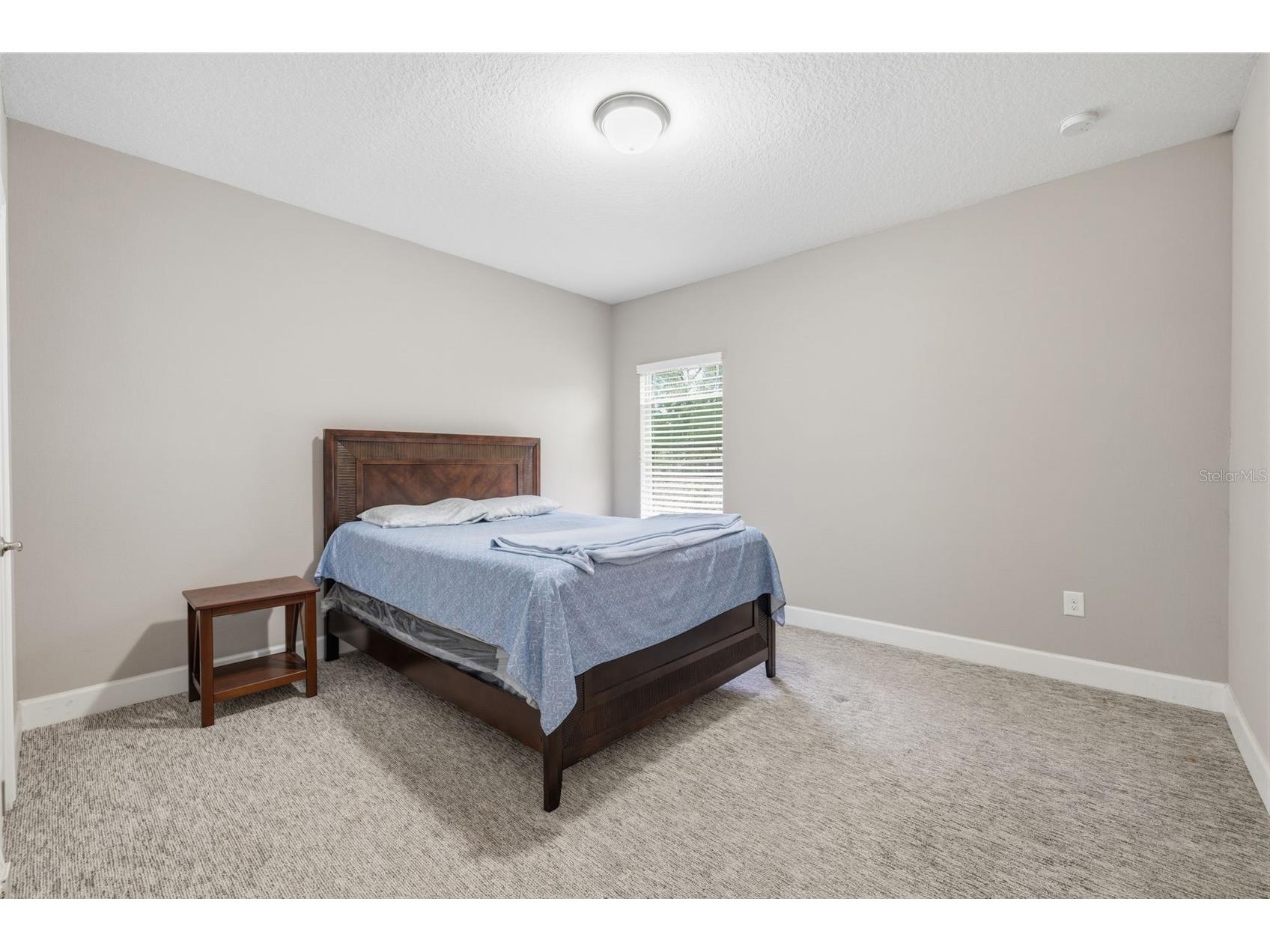 10431 Alcon Blue Drive Riverview FL 33578 O6397883 image23