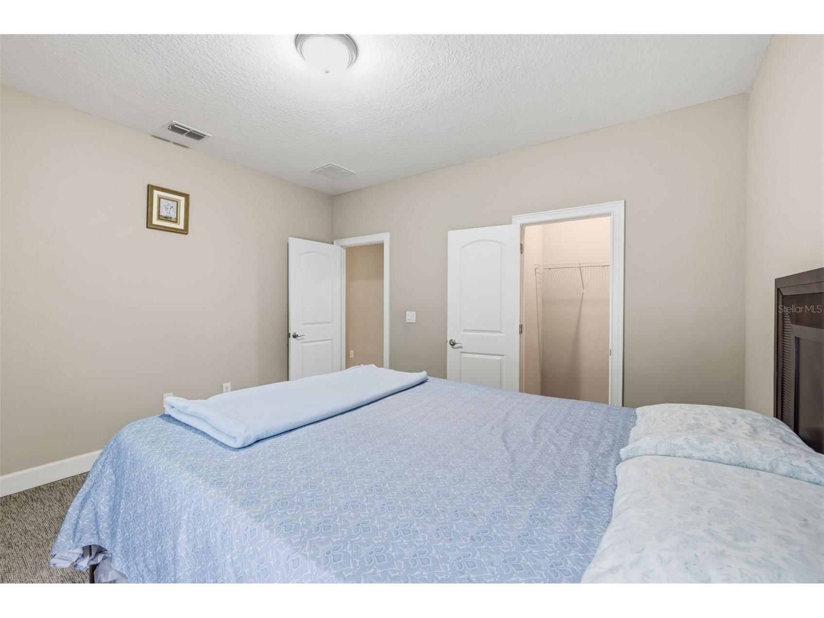 10431 Alcon Blue Drive Riverview FL 33578 O6397883 image24