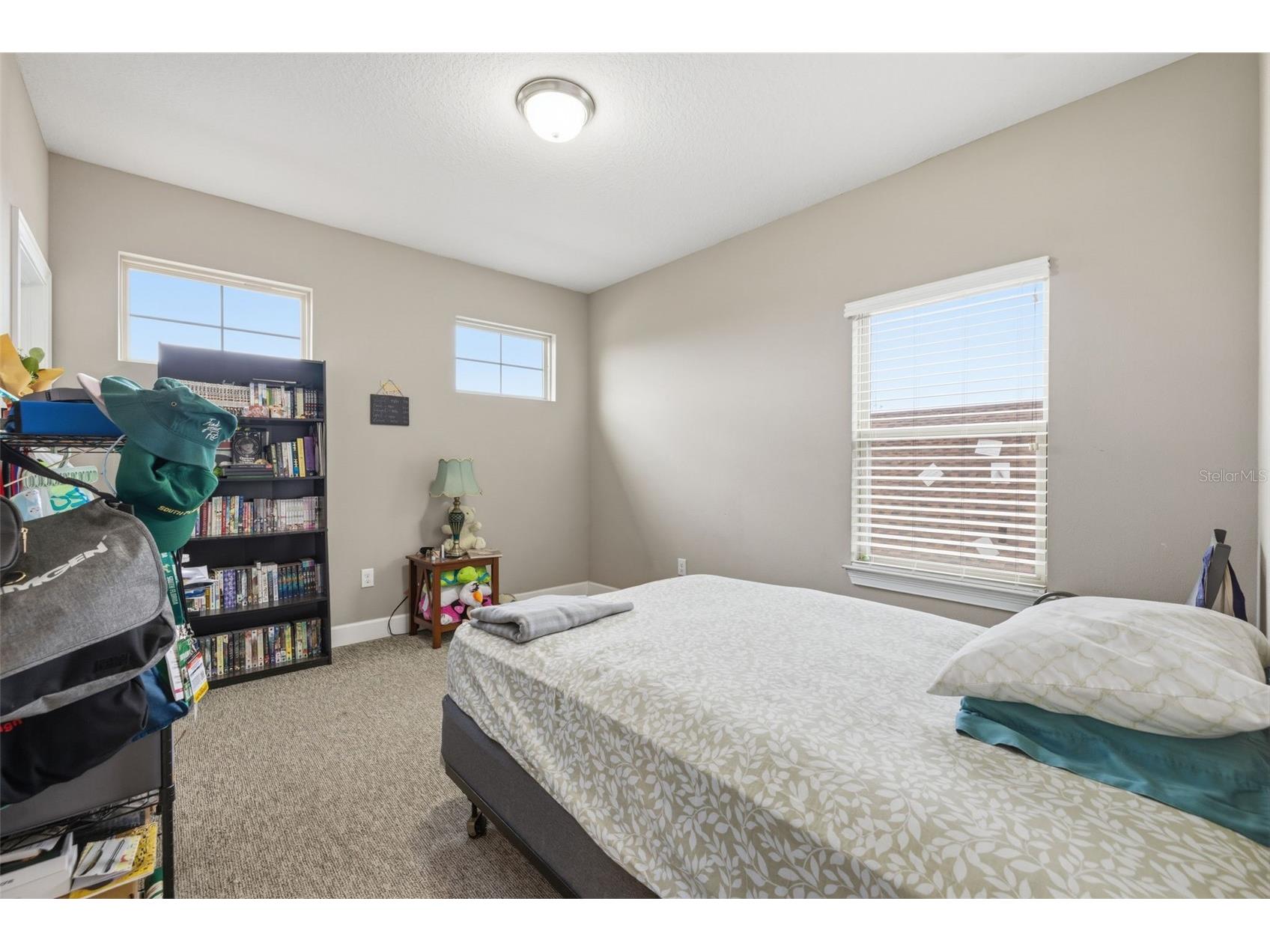 10431 Alcon Blue Drive Riverview FL 33578 O6397883 image25