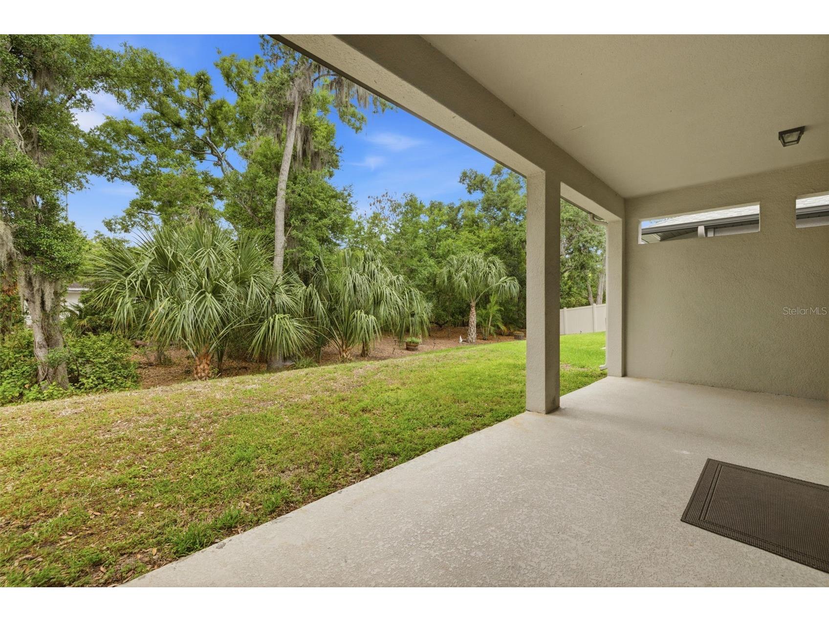 10431 Alcon Blue Drive Riverview FL 33578 O6397883 image30