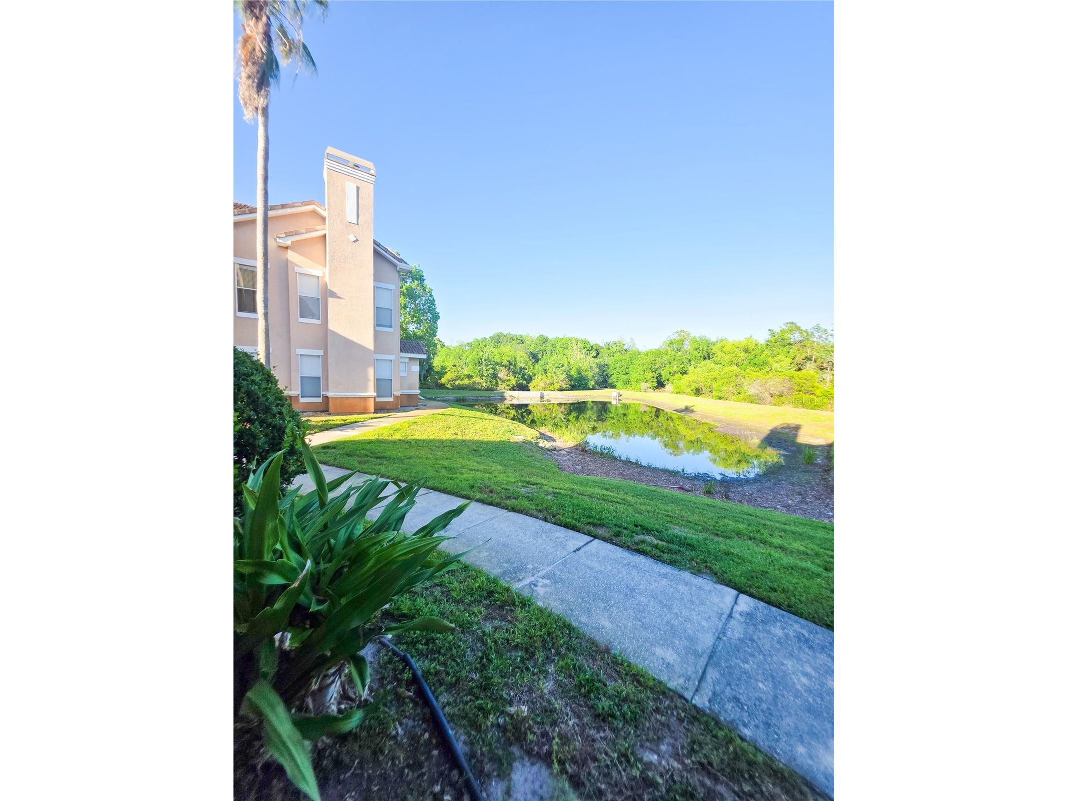 10431 Villa View Circle #10431 Tampa FL 33647 TB8497815 image14
