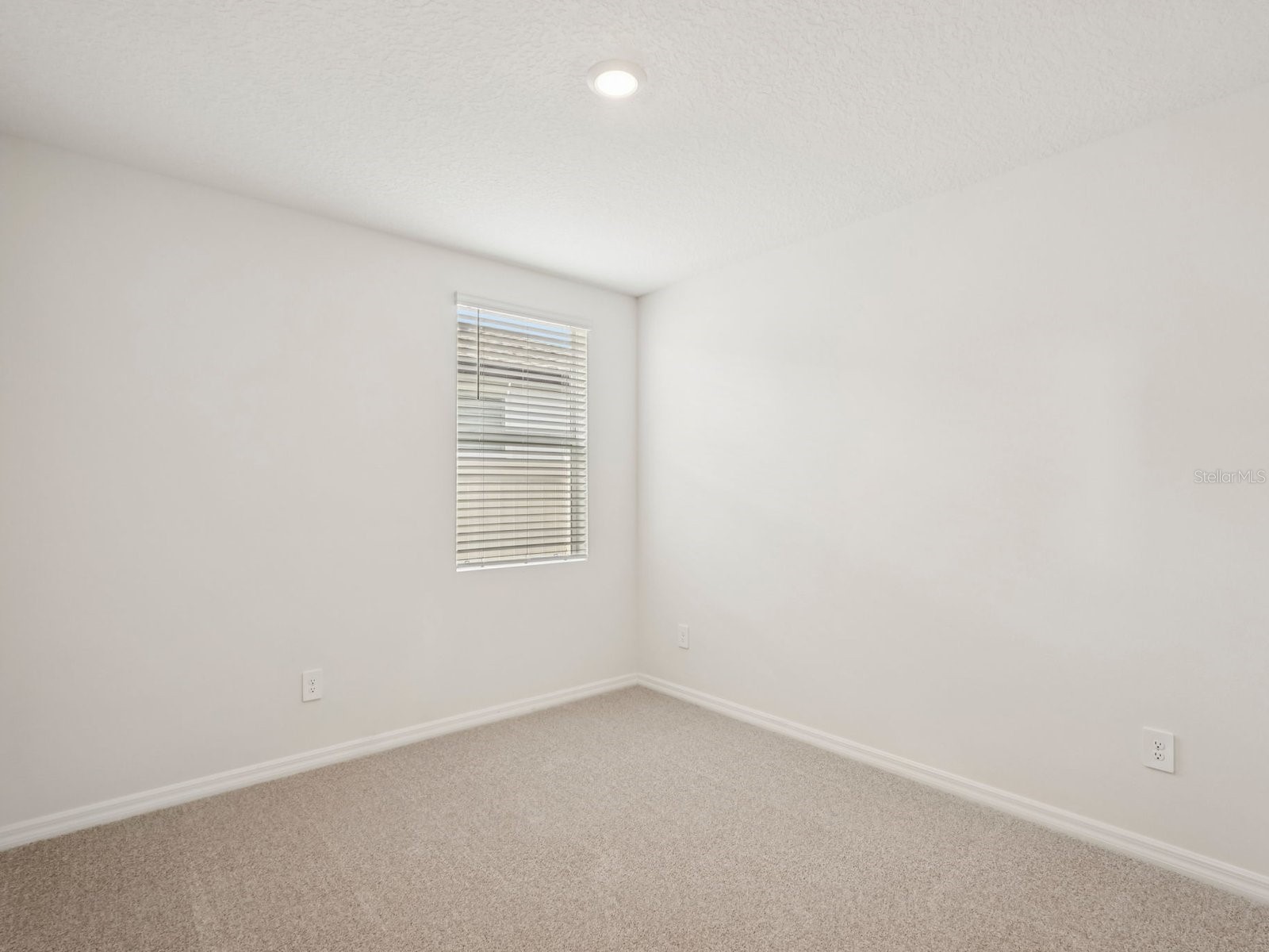10432 Abundance Grove Way Parrish FL 34219 TB8480233 image12