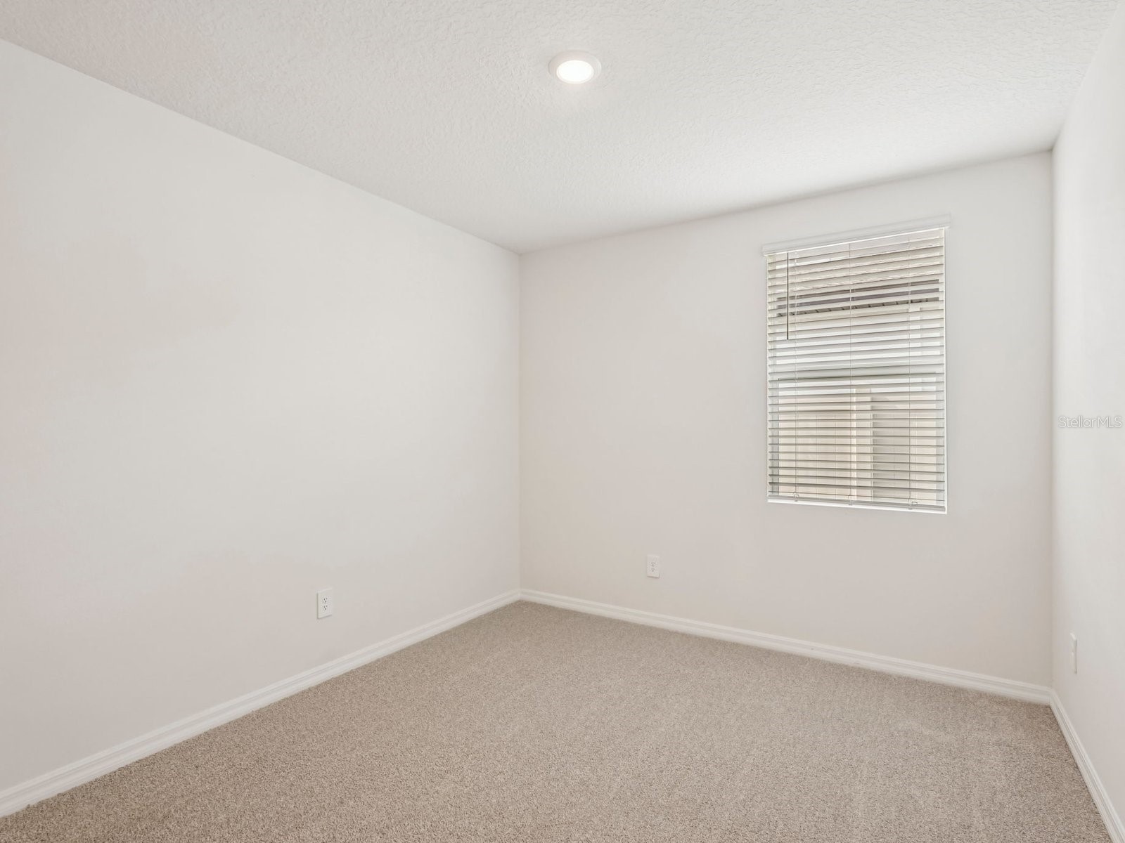 10432 Abundance Grove Way Parrish FL 34219 TB8480233 image14