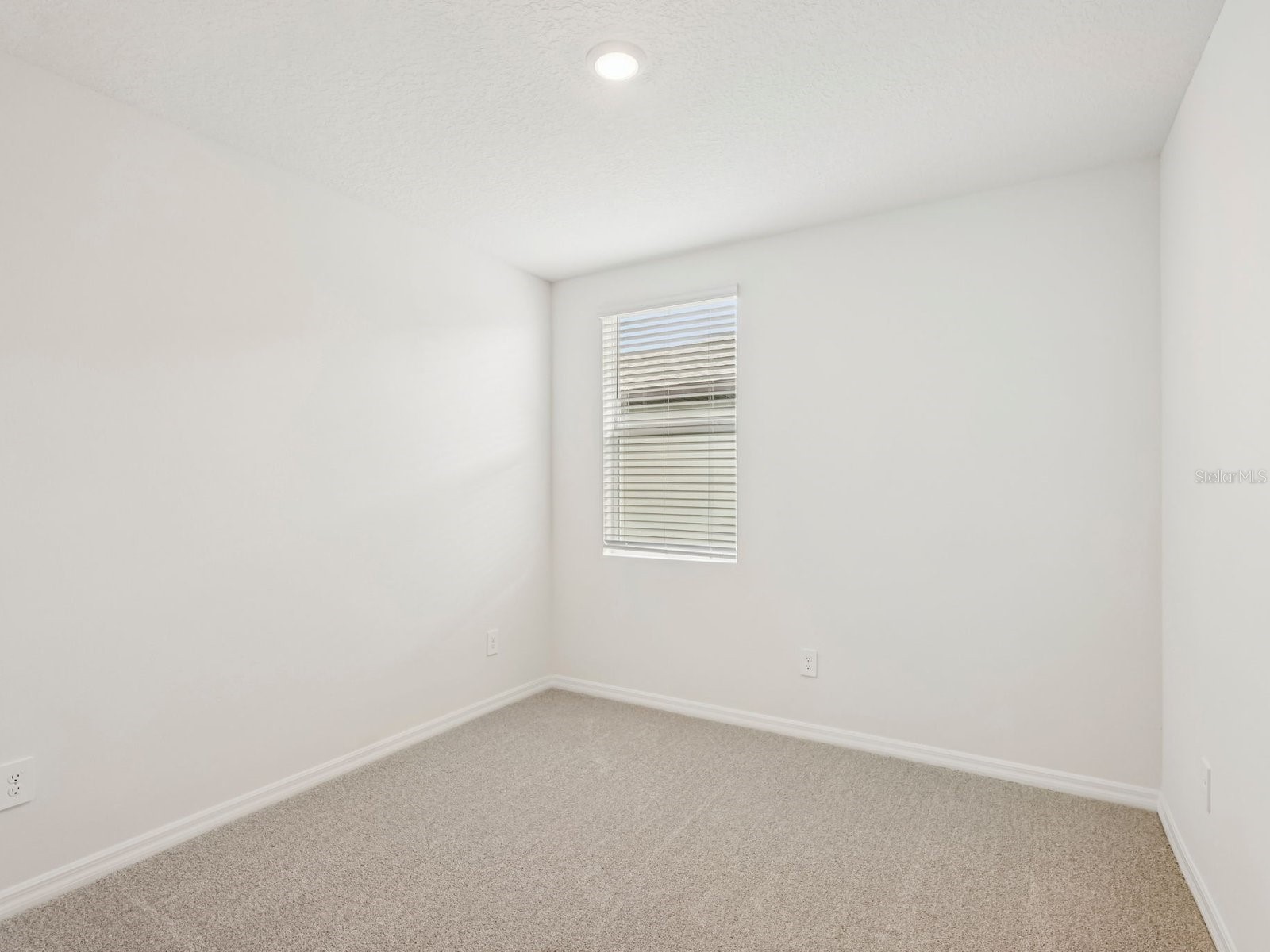10432 Abundance Grove Way Parrish FL 34219 TB8480233 image15