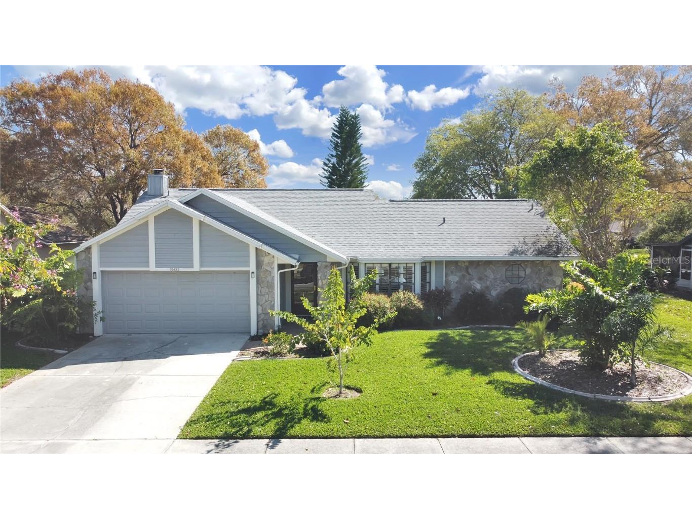 10432 Tara Drive Riverview FL 33578 T3508066 image1