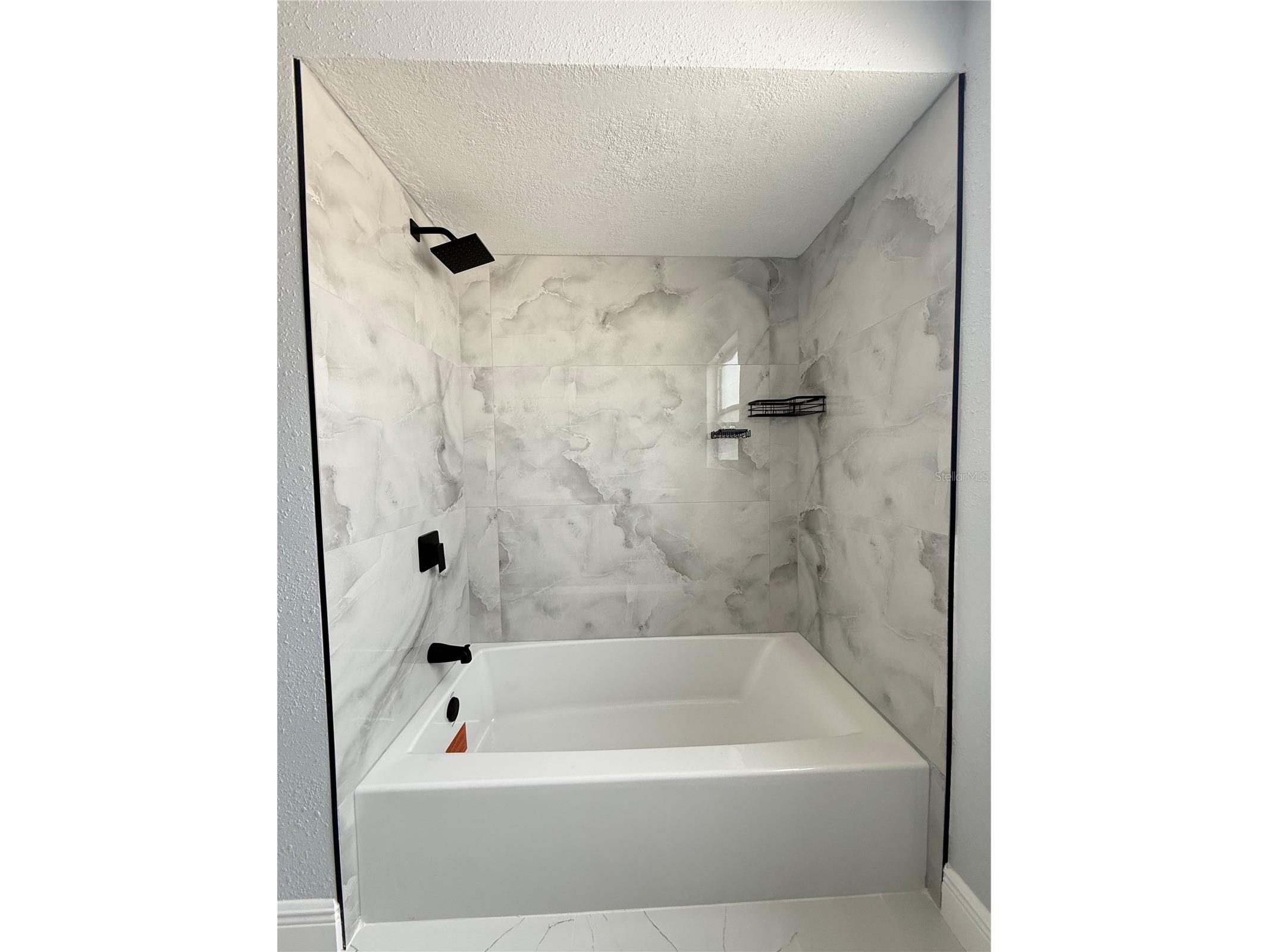 10433 Laburnum Drive Port Richey FL 34668 TB8486832 image17
