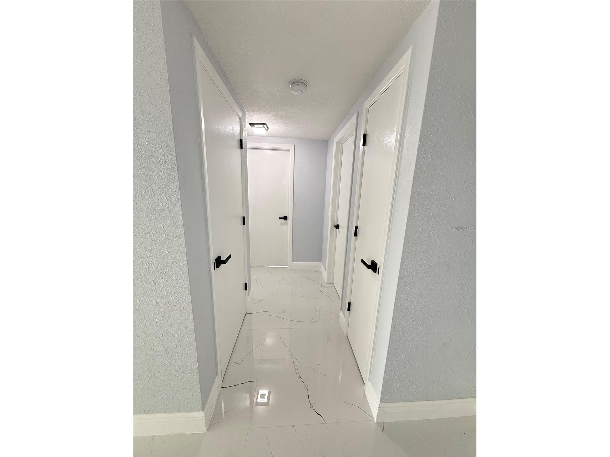 10433 Laburnum Drive Port Richey FL 34668 TB8486832 image6