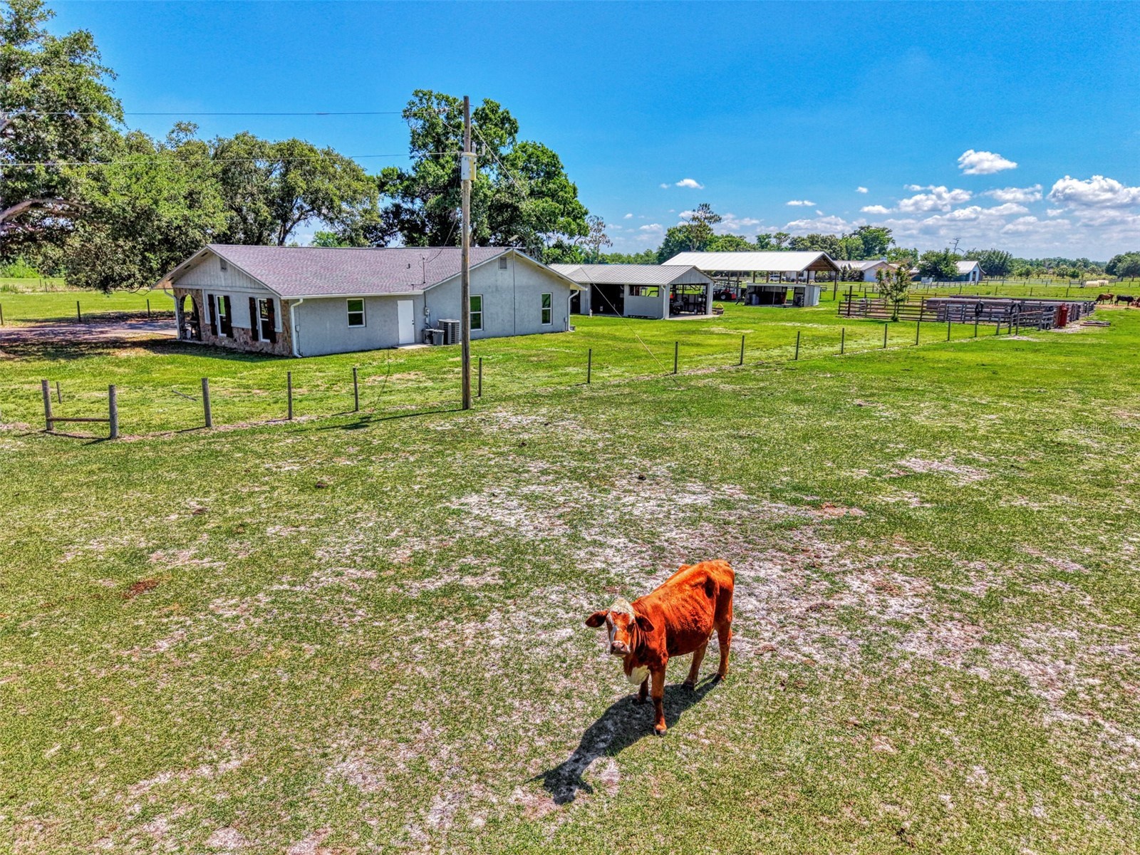 10433 SW Jernigan Street Arcadia FL 34269 - SMALL CREEK/CANAL/DITCH A4693057 image67