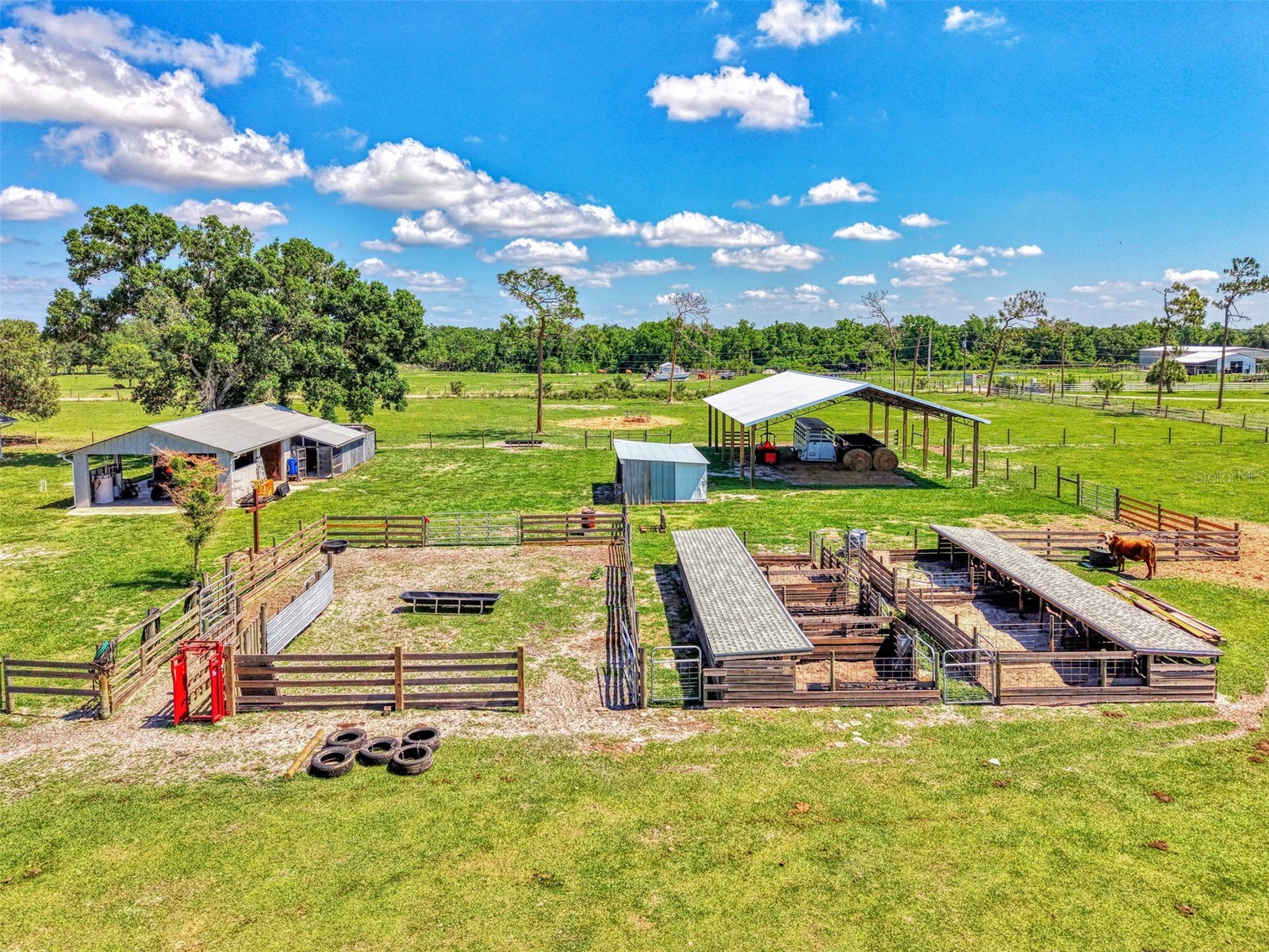10433 SW Jernigan Street Arcadia FL 34269 - SMALL CREEK/CANAL/DITCH A4693057 image73