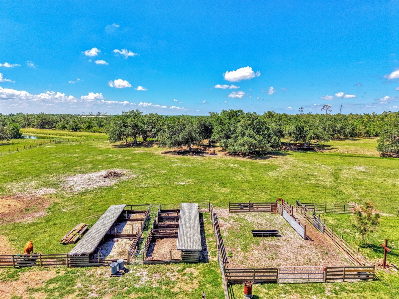 10433 SW Jernigan Street Arcadia FL 34269 - SMALL CREEK/CANAL/DITCH A4693057 image74