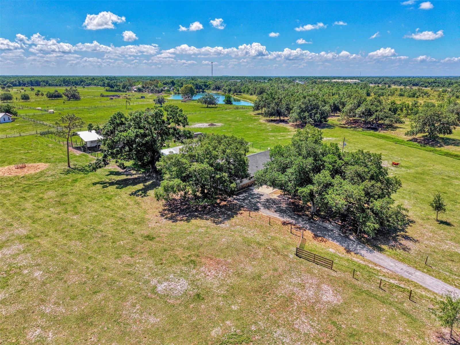 10433 SW Jernigan Street Arcadia FL 34269 - SMALL CREEK/CANAL/DITCH A4693057 image85