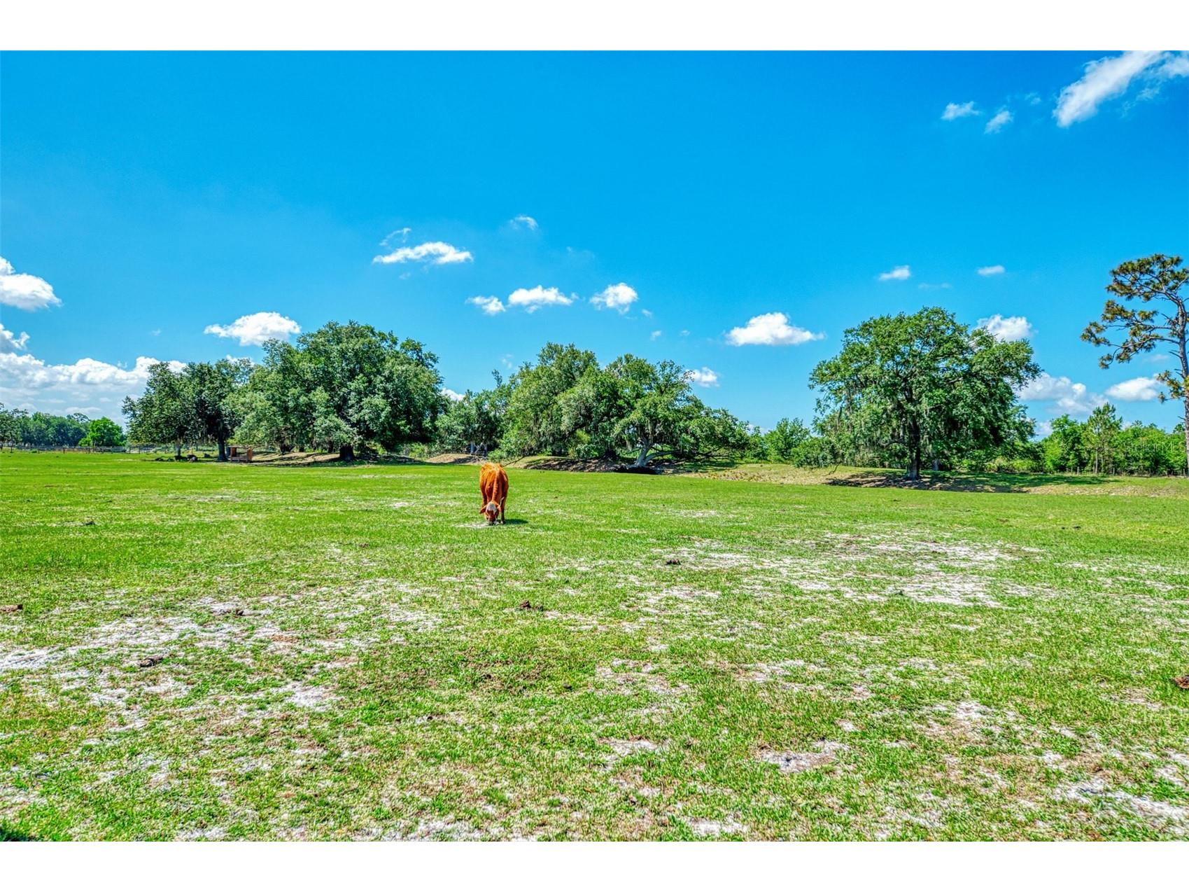 10433 SW Jernigan Street Arcadia FL 34269 - SMALL CREEK/CANAL/DITCH A4693057 image86