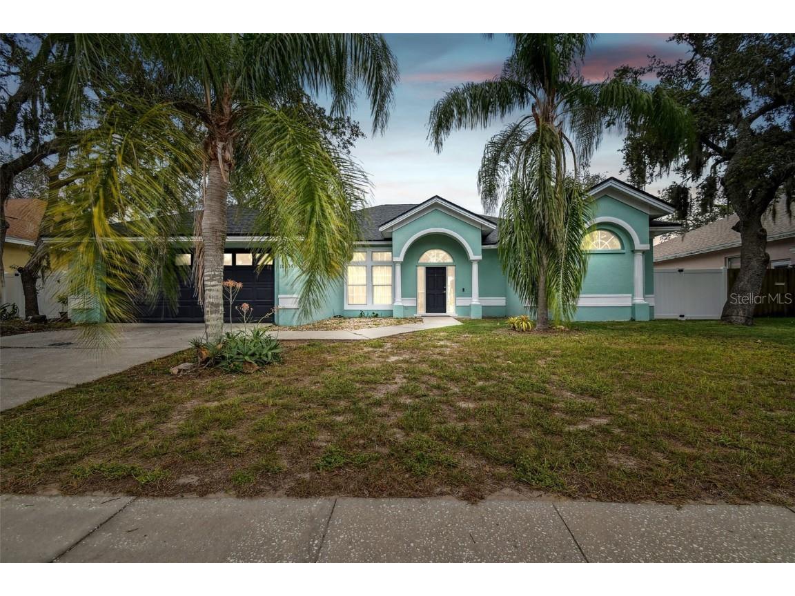 10434 Nightengale Drive Riverview FL 33569 T3460718 image1