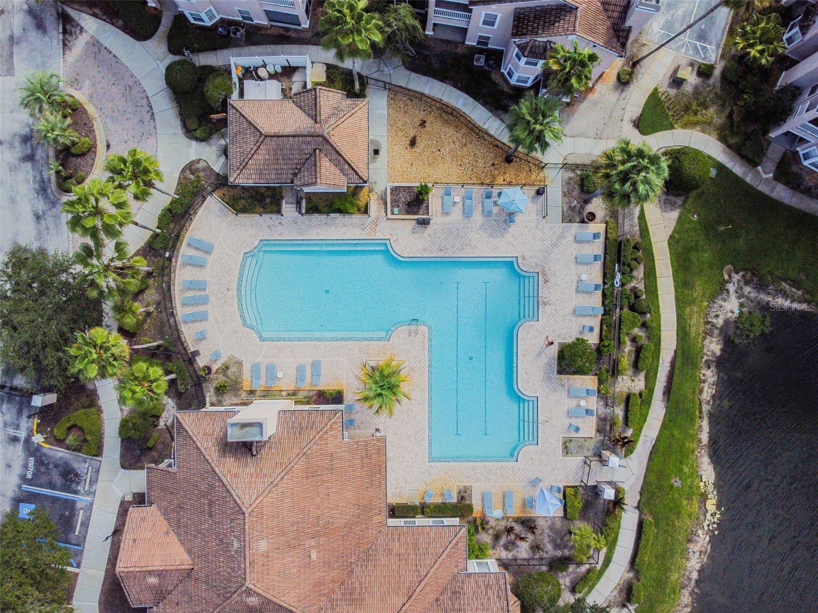 10434 Villa View Circle Tampa FL 33647 TB8467445 image45