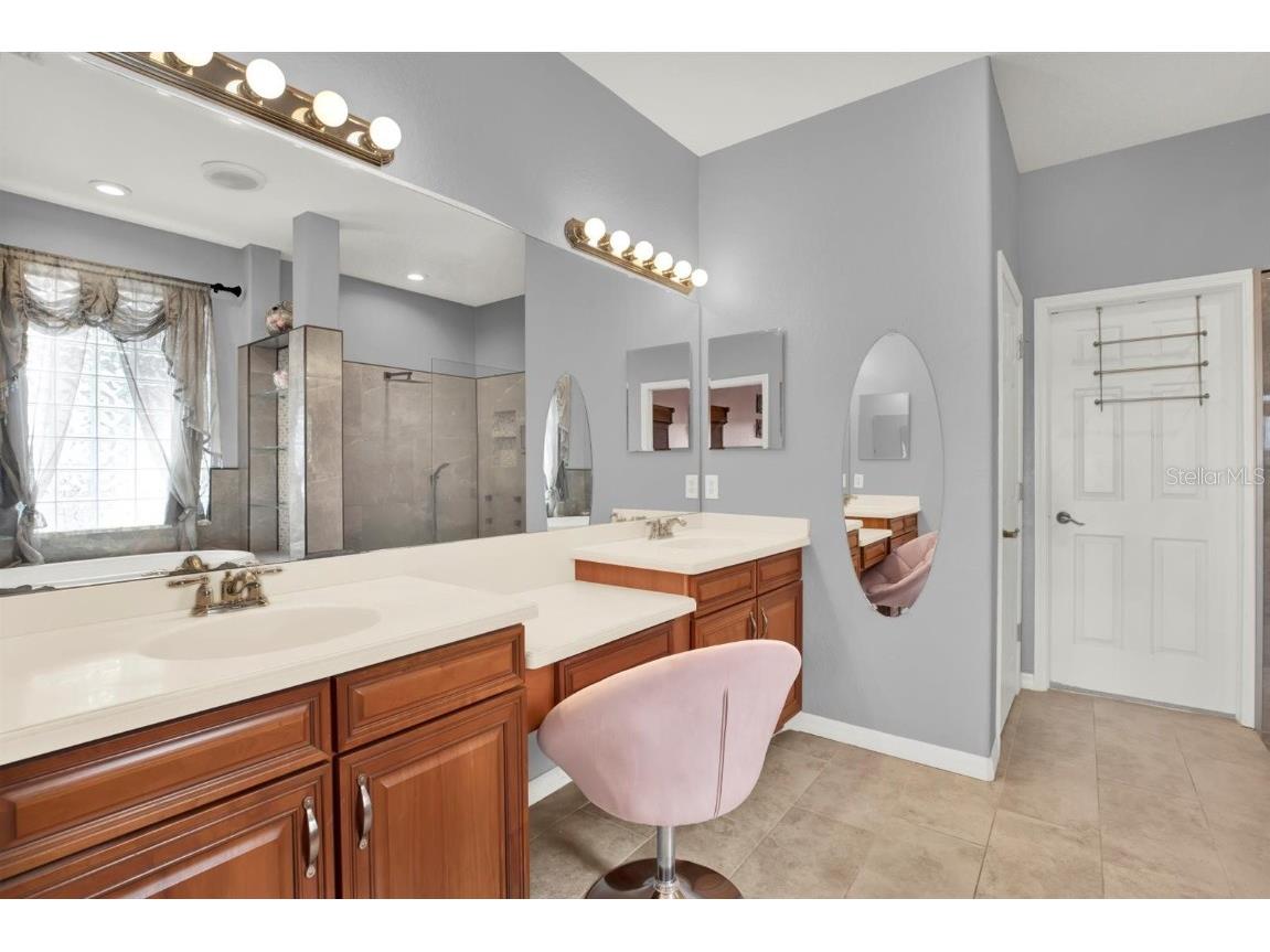 10435 Deerberry Drive Land O Lakes FL 34638 W7879084 image23