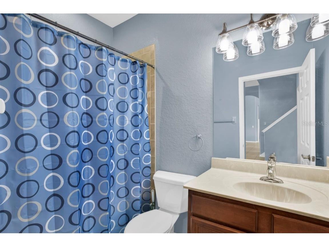 10435 Deerberry Drive Land O Lakes FL 34638 W7879084 image27