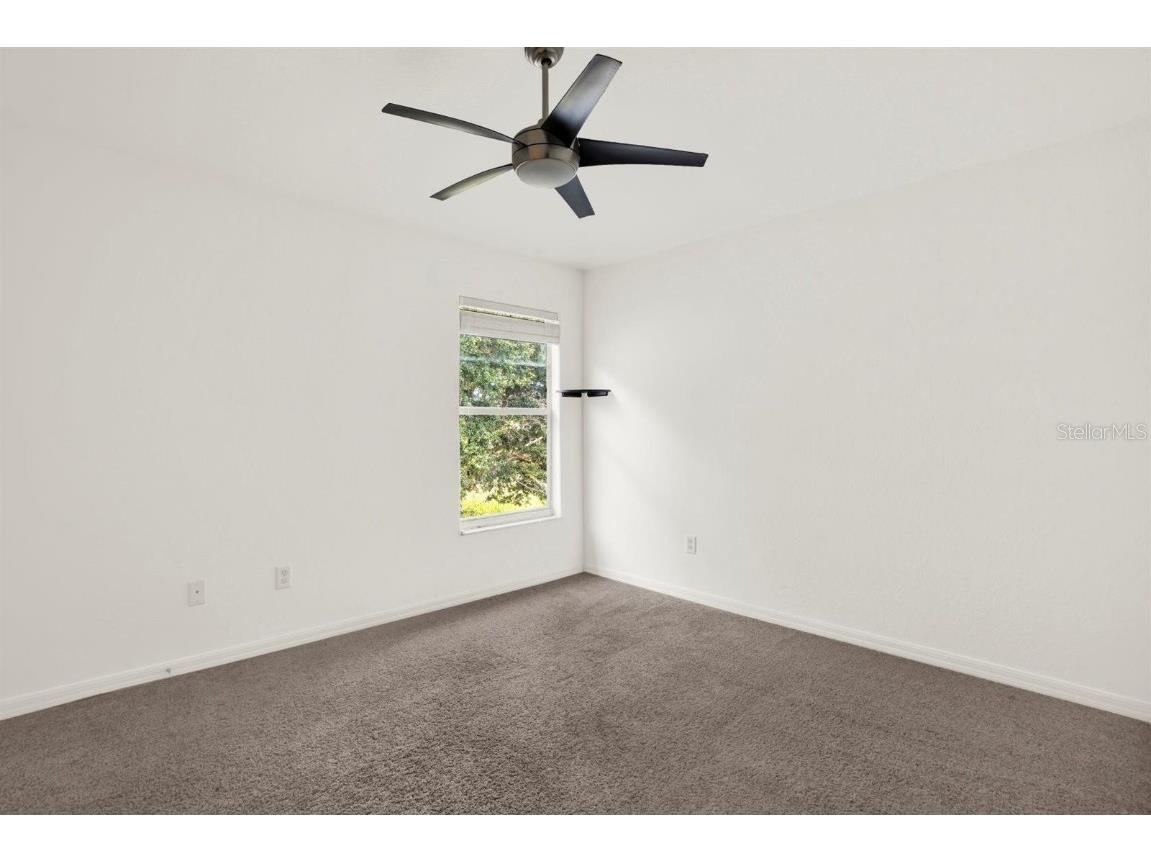 10435 Deerberry Drive Land O Lakes FL 34638 W7879084 image33