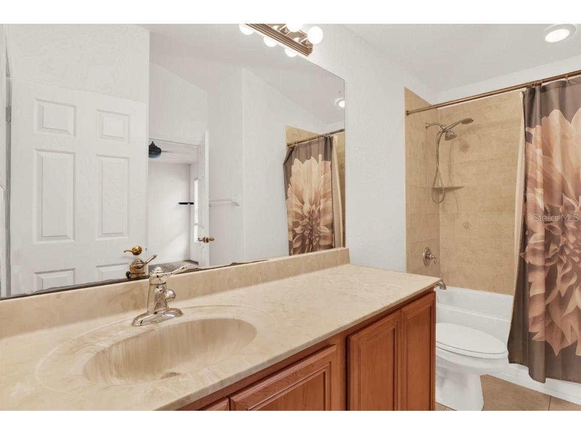 10435 Deerberry Drive Land O Lakes FL 34638 W7879084 image35