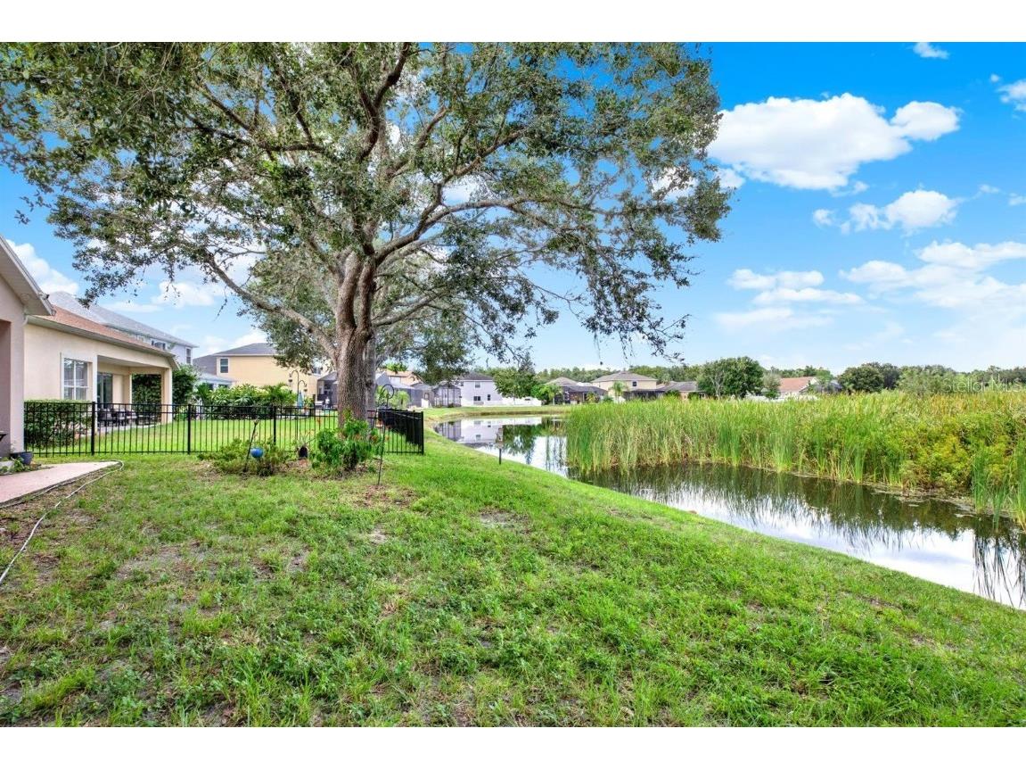 10435 Deerberry Drive Land O Lakes FL 34638 W7879084 image42