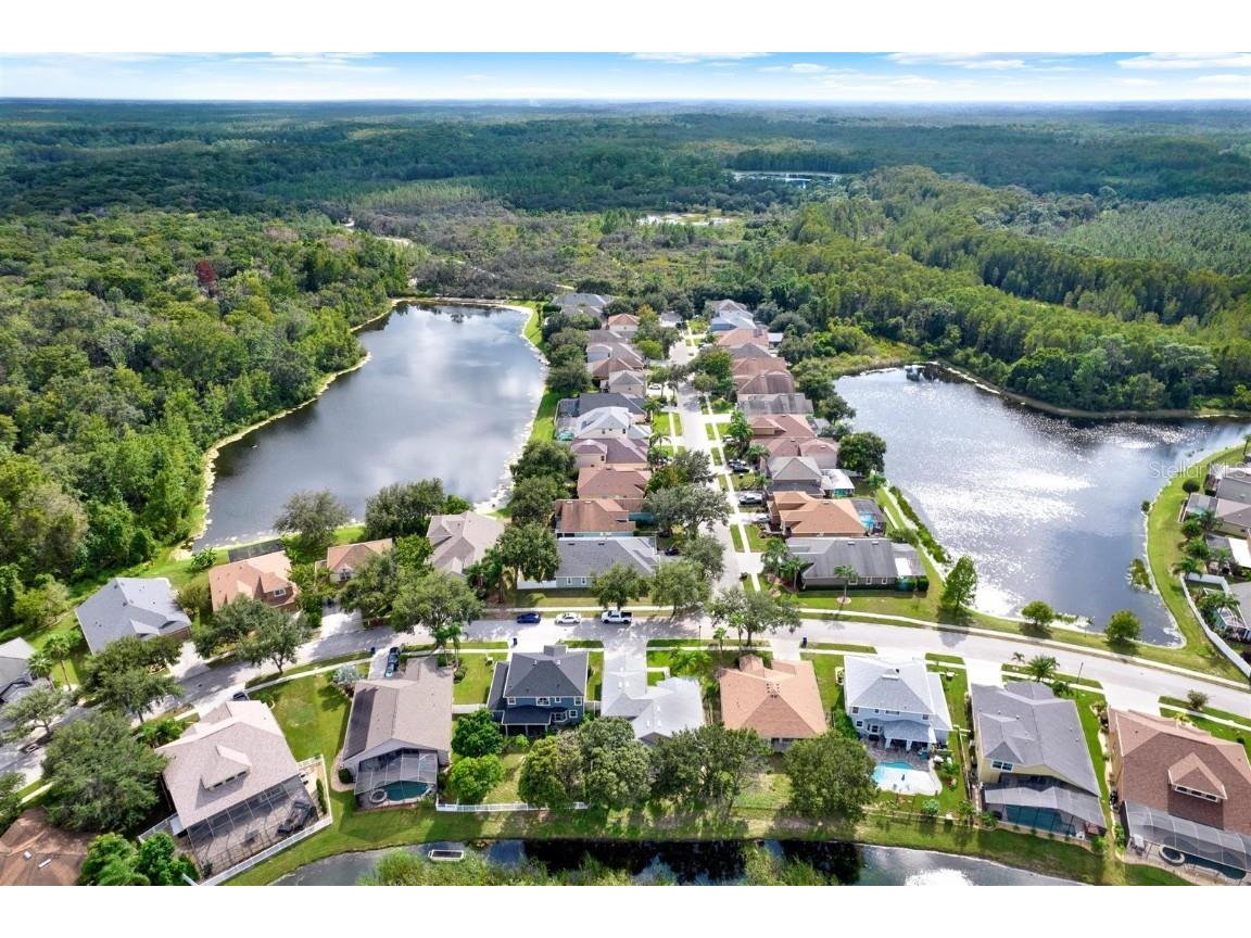 10435 Deerberry Drive Land O Lakes FL 34638 W7879084 image48