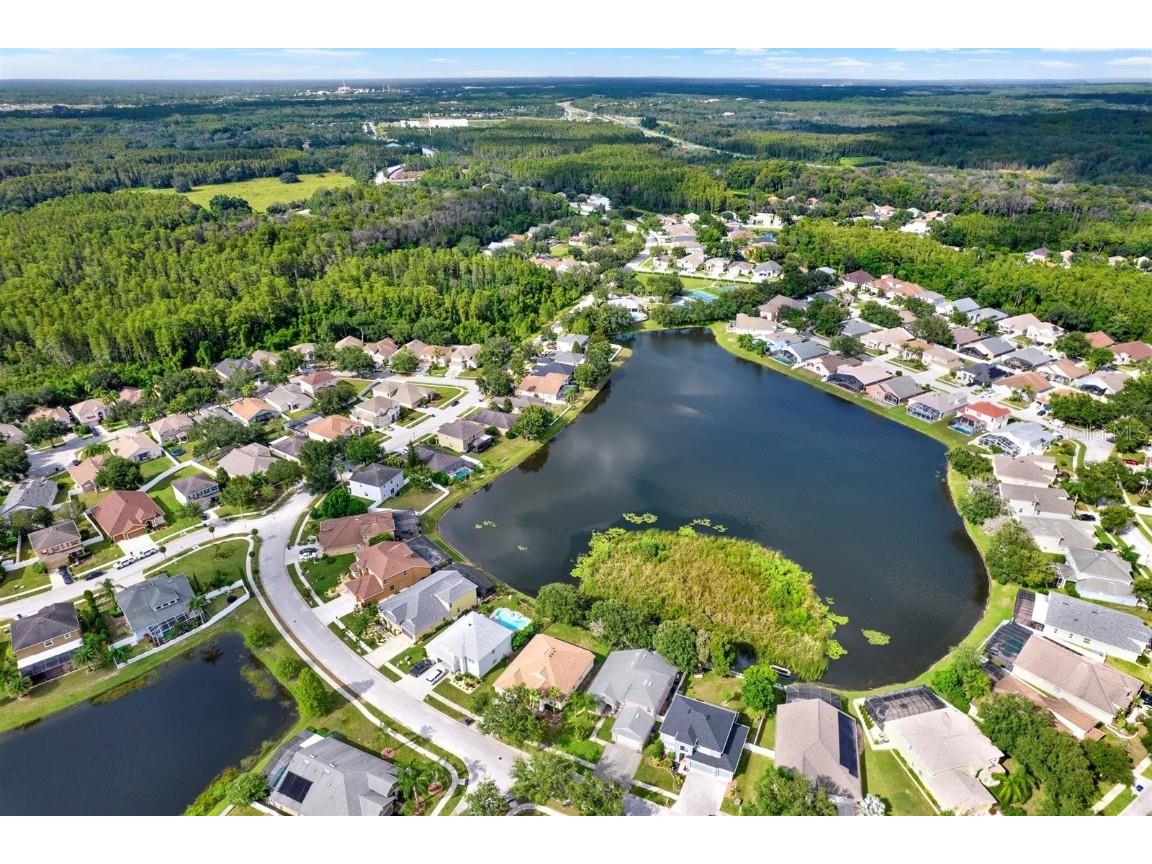 10435 Deerberry Drive Land O Lakes FL 34638 W7879084 image49