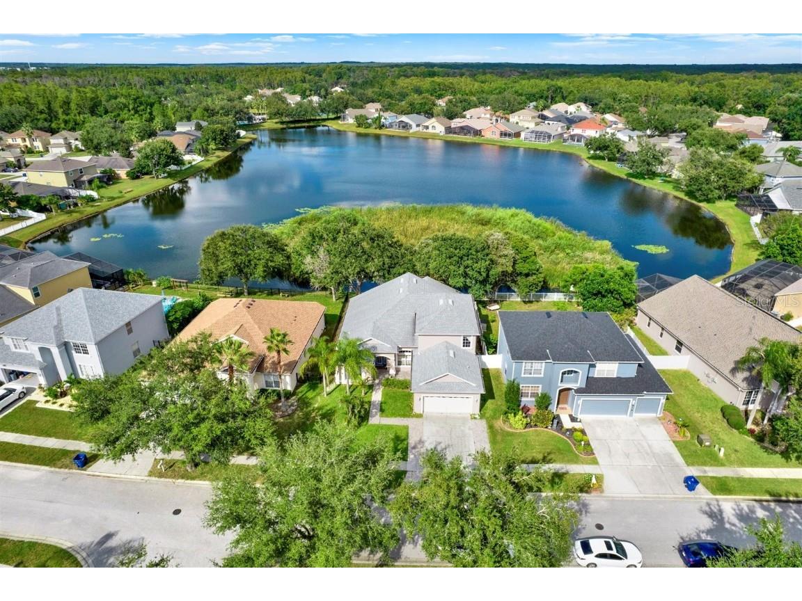 10435 Deerberry Drive Land O Lakes FL 34638 W7879084 image50