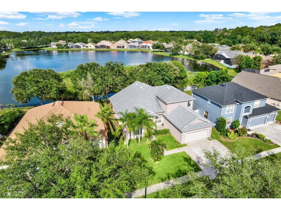 10435 Deerberry Drive Land O Lakes FL 34638 W7879084 image51