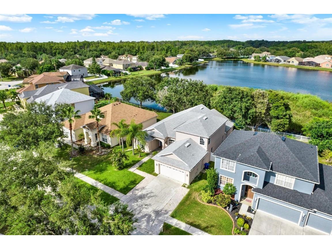 10435 Deerberry Drive Land O Lakes FL 34638 W7879084 image52