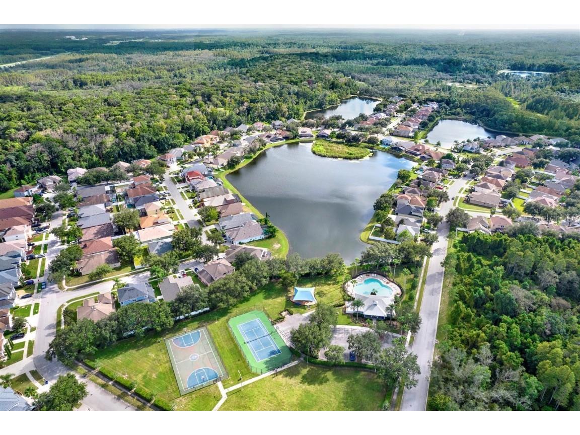 10435 Deerberry Drive Land O Lakes FL 34638 W7879084 image53