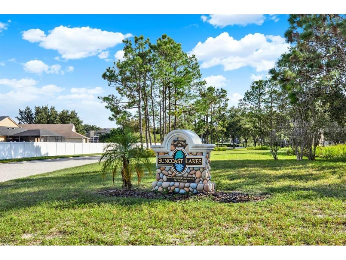 10435 Deerberry Drive Land O Lakes FL 34638 W7879084 image54