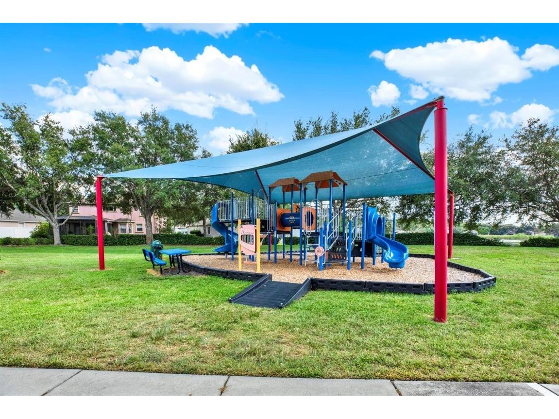 10435 Deerberry Drive Land O Lakes FL 34638 W7879084 image55