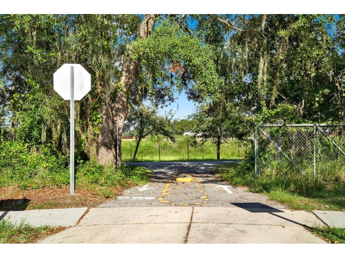 10435 Deerberry Drive Land O Lakes FL 34638 W7879084 image56