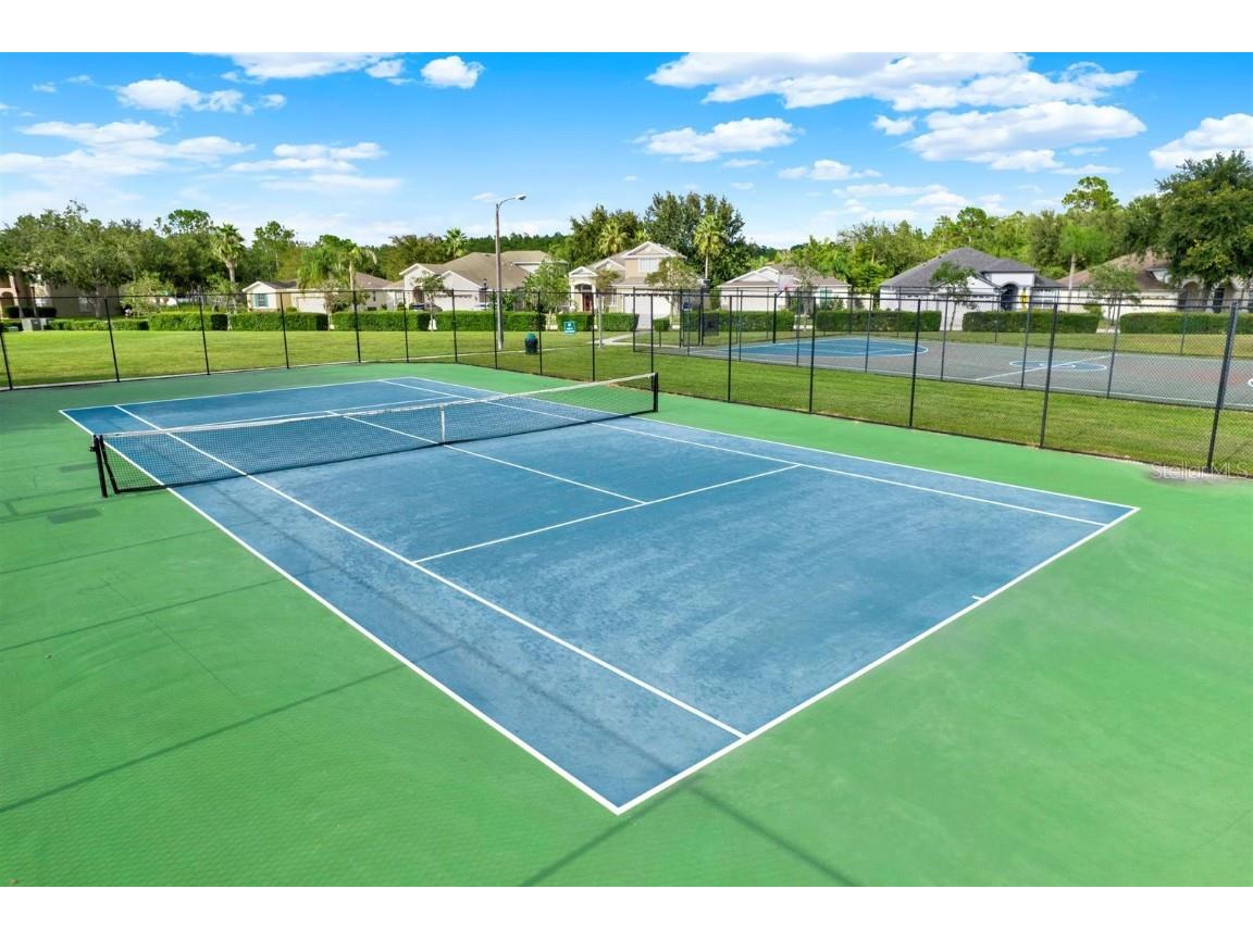 10435 Deerberry Drive Land O Lakes FL 34638 W7879084 image57