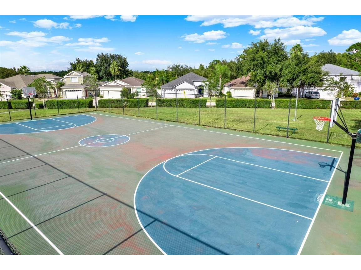 10435 Deerberry Drive Land O Lakes FL 34638 W7879084 image58